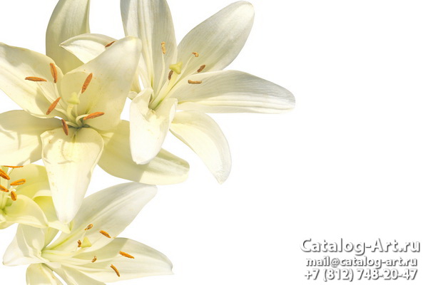 White lilies 7